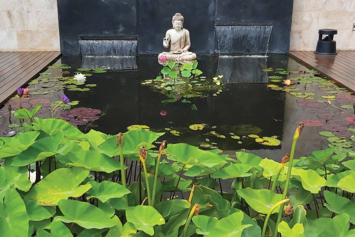 Agua en el jardín, un recurso que realza el diseño y define el estilo