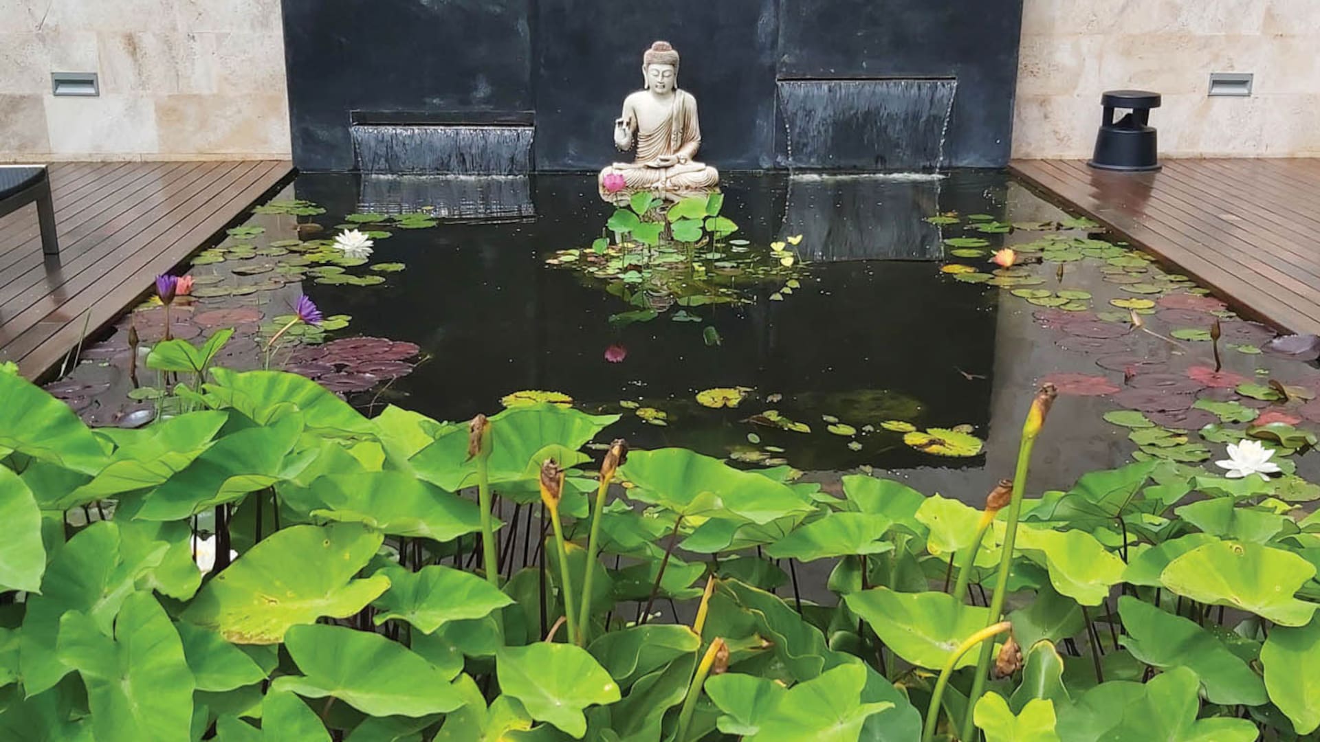 Agua en el jardín, un recurso que realza el diseño y define el estilo