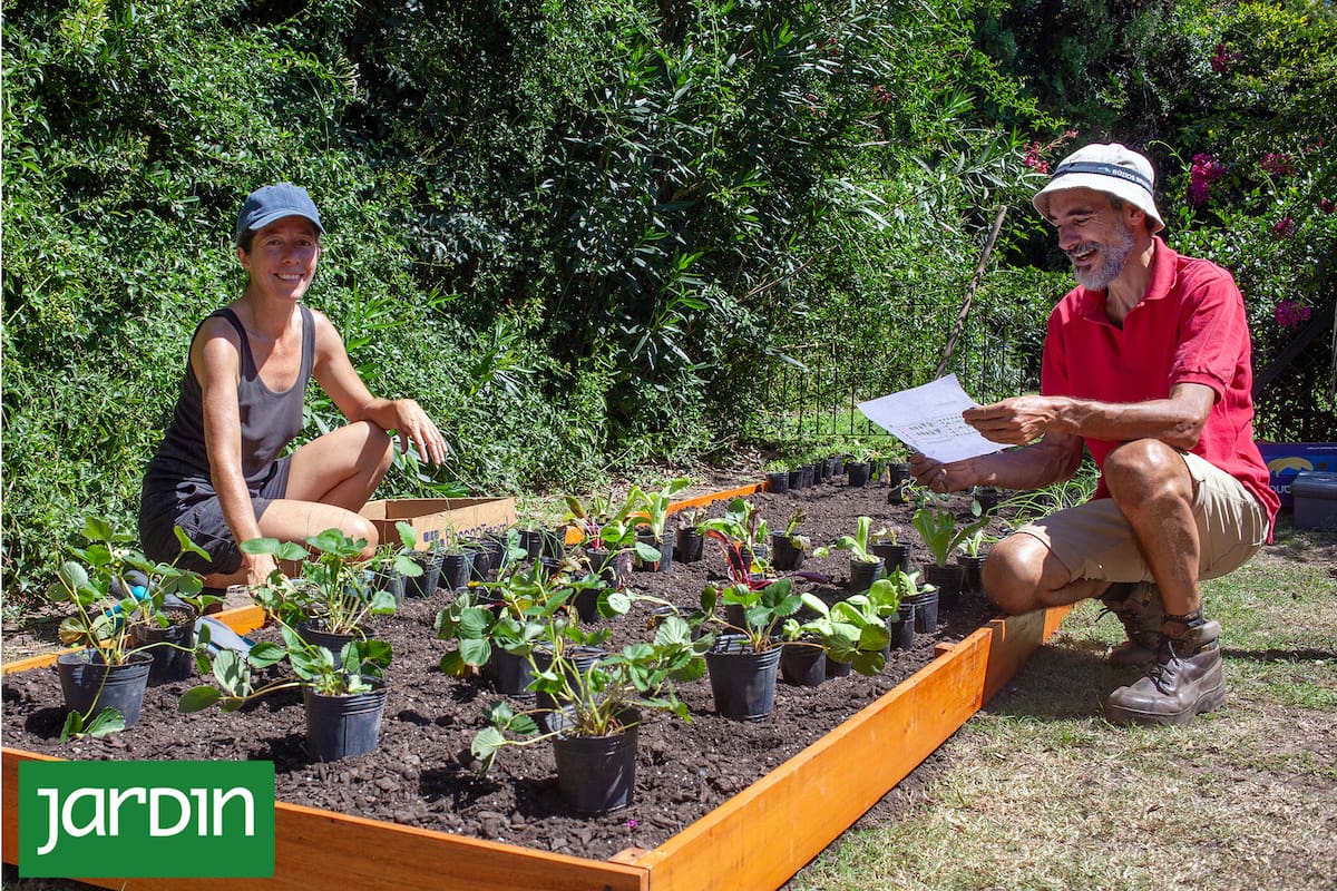 Dejaron atrás sus carreras e hicieron de su amor por la naturaleza un emprendimiento
