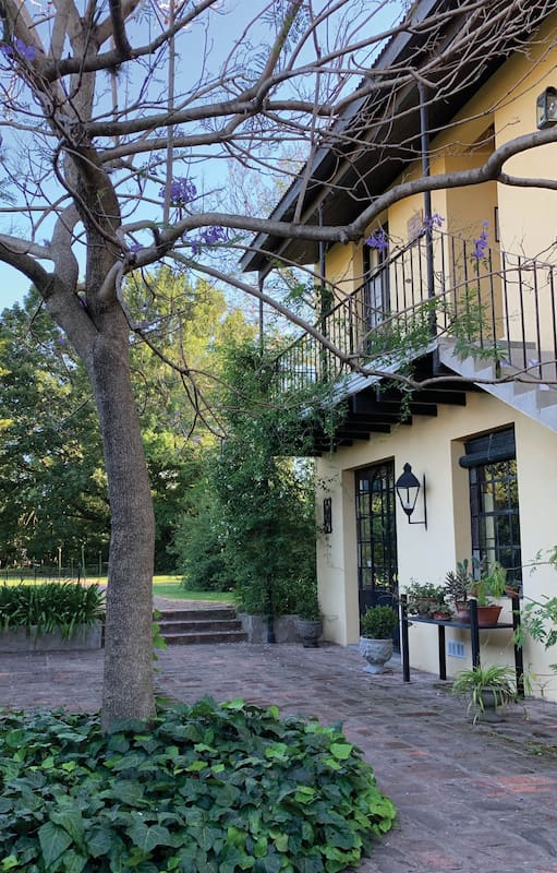 San Antonio de Areco: un jardín más allá de las modas, en el corazón de una casa del siglo XIX que hoy recibe turistas