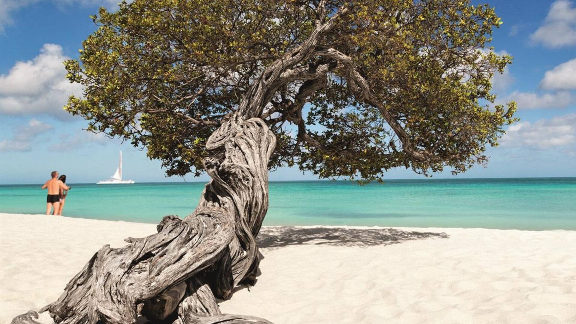 Aruba, una feliz combinación