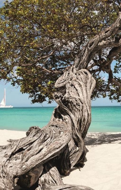 Aruba, una feliz combinación