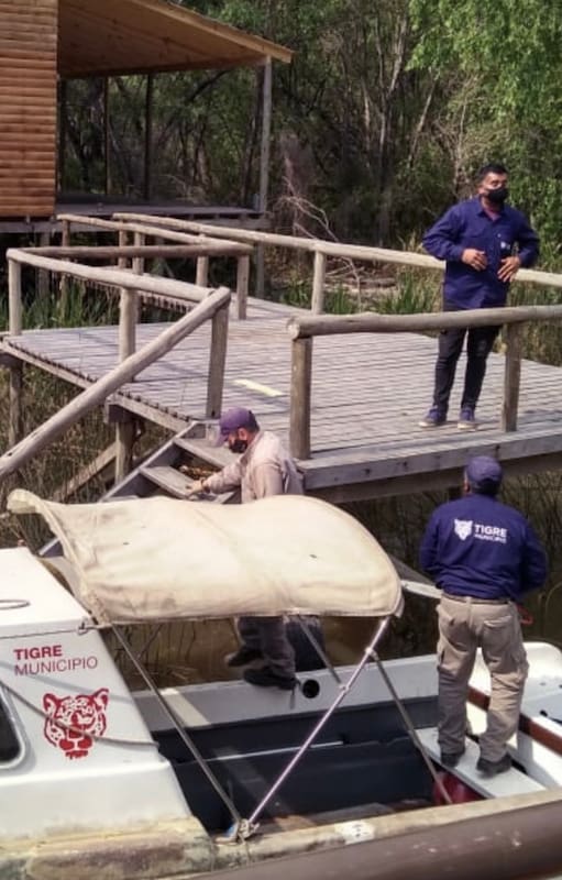 Guerra en el Delta. Destruyeron muelles del hombre que vende las nuevas islas