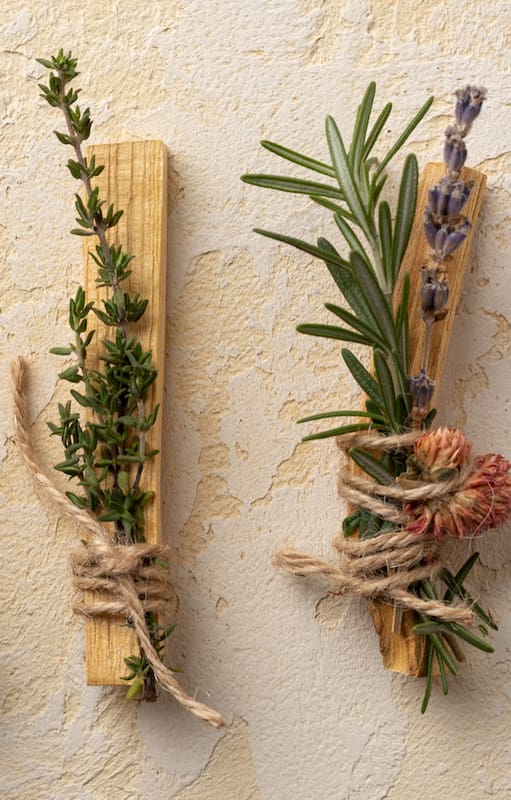 Las plantas aromáticas pueden tener más o menos fragancia según cómo se cultiven