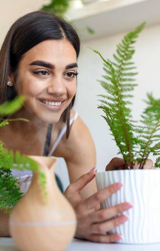 Cómo saber si el aire acondicionado está dañando mis plantas de interior