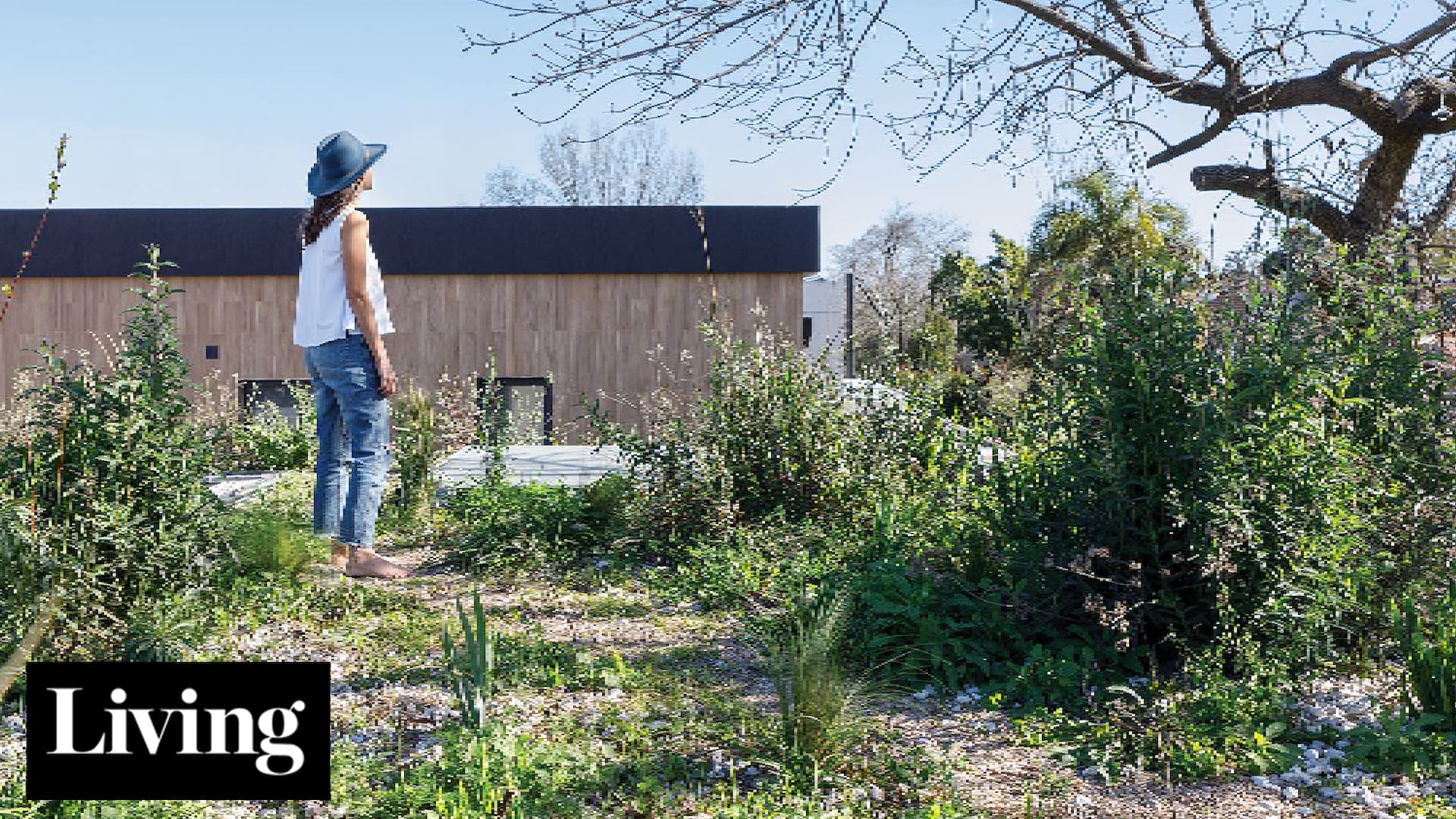 Visitamos a cuatro dueños de casa que lograron construir su propio techo verde