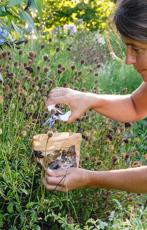 El secreto que esconde tu jardín en otoño: cómo guardar vida para la próxima temporada