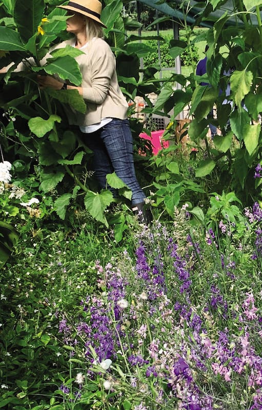 Cultivaba flores para atraer aves a su jardín, ahora tiene un emprendimiento productivo floral