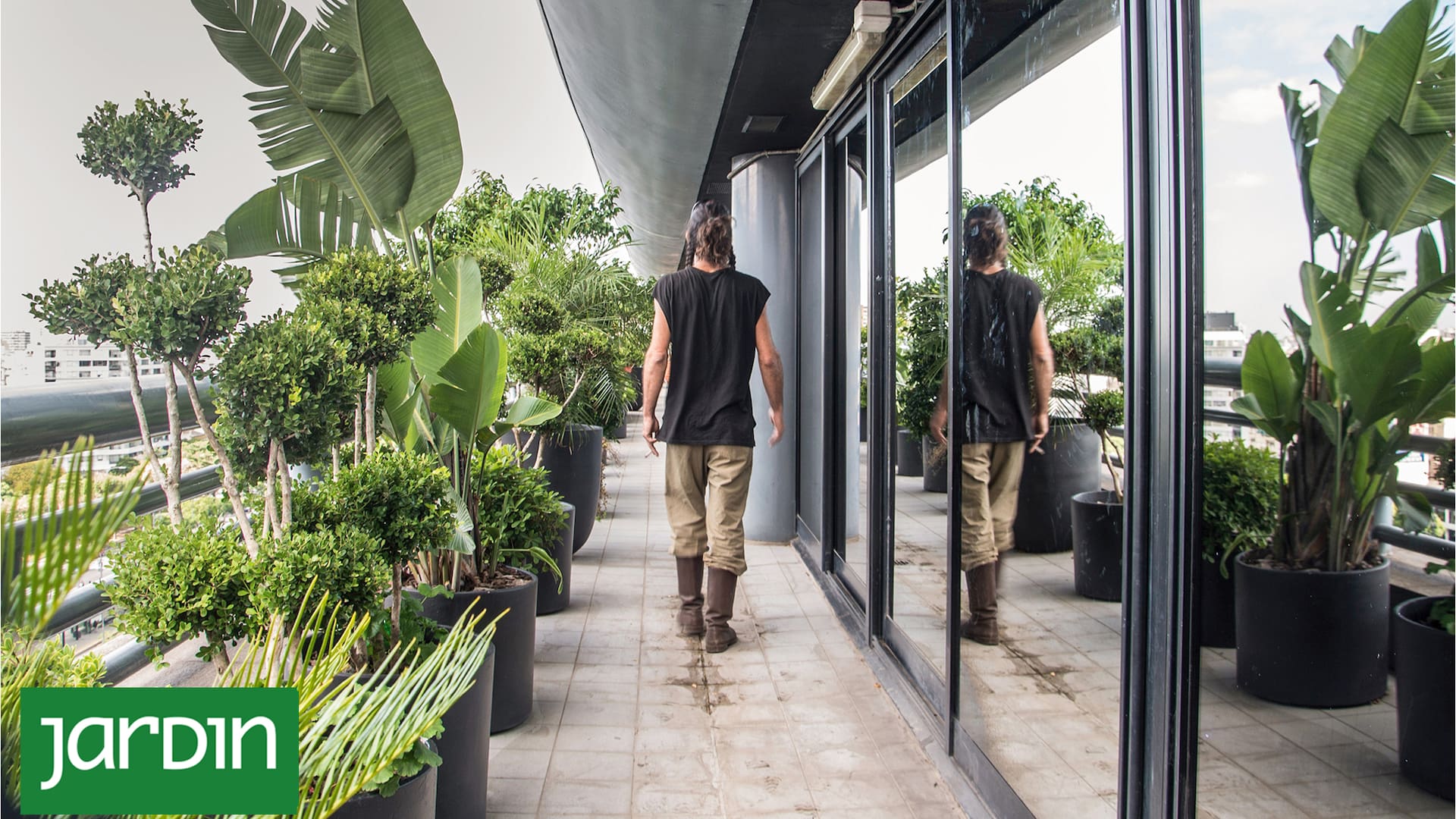 7 ideas y recursos para jardines de sombra, sol pleno, en desnivel o con mucho viento