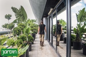 Casos reales, ideas y recursos para jardines de sombra, sol pleno, en desnivel o con mucho viento