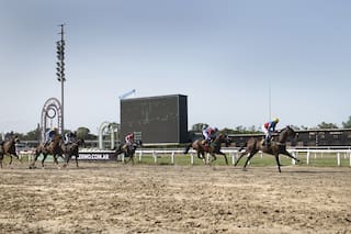 Fanáticos. Una tarde en el Hipódromo de Palermo