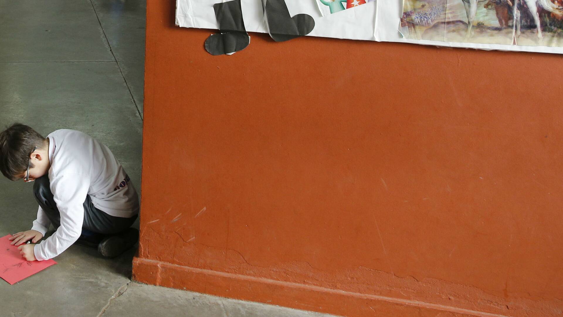 Chicos superdotados: pocas escuelas se adaptan a sus necesidades