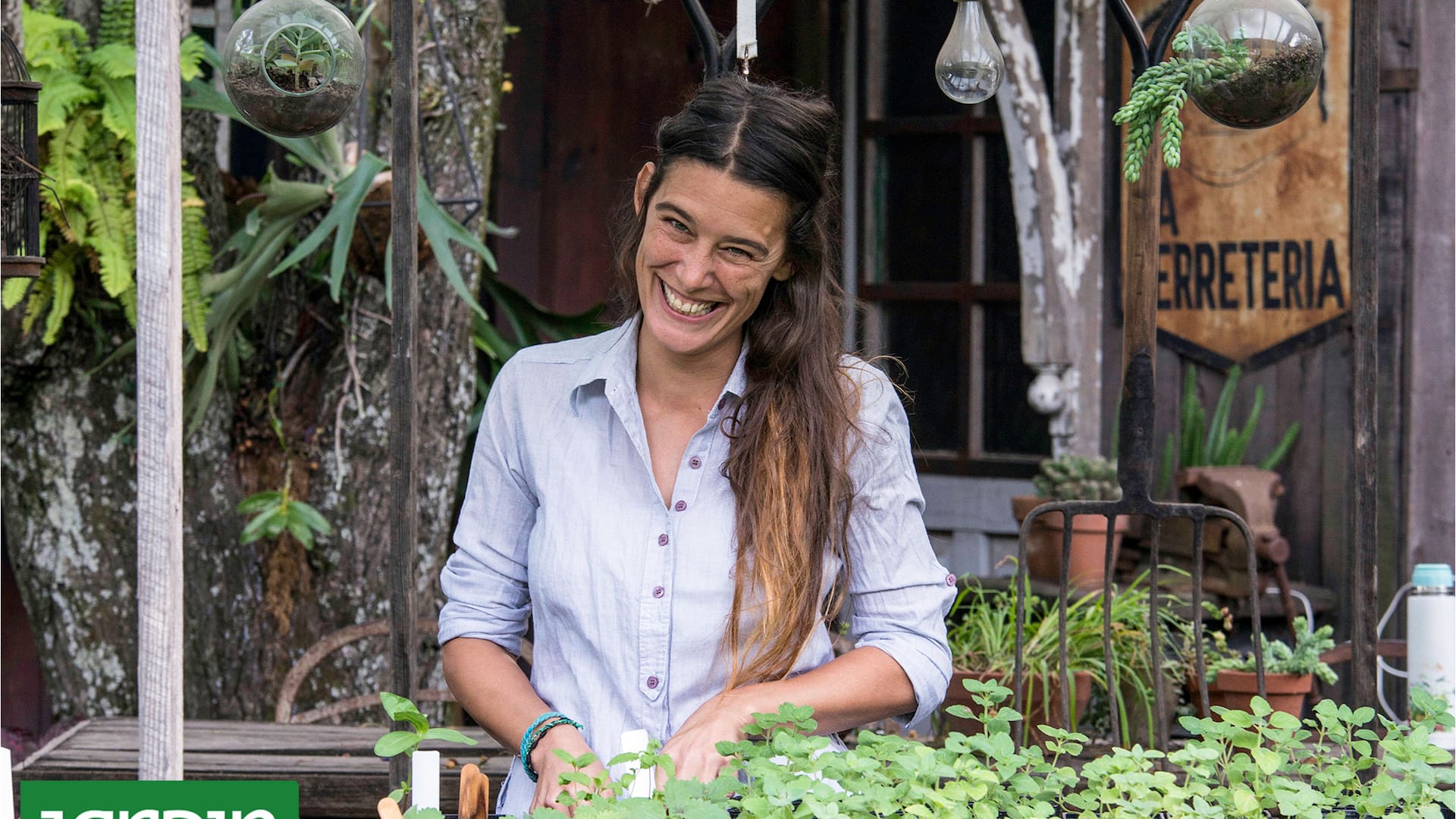 Cuáles son las plantas más elegidas por los paisajistas hoy y por qué