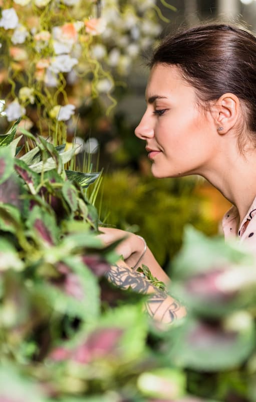 Las 15 plantas que recomiendan los especialistas si estas buscando una joyita para tu casa