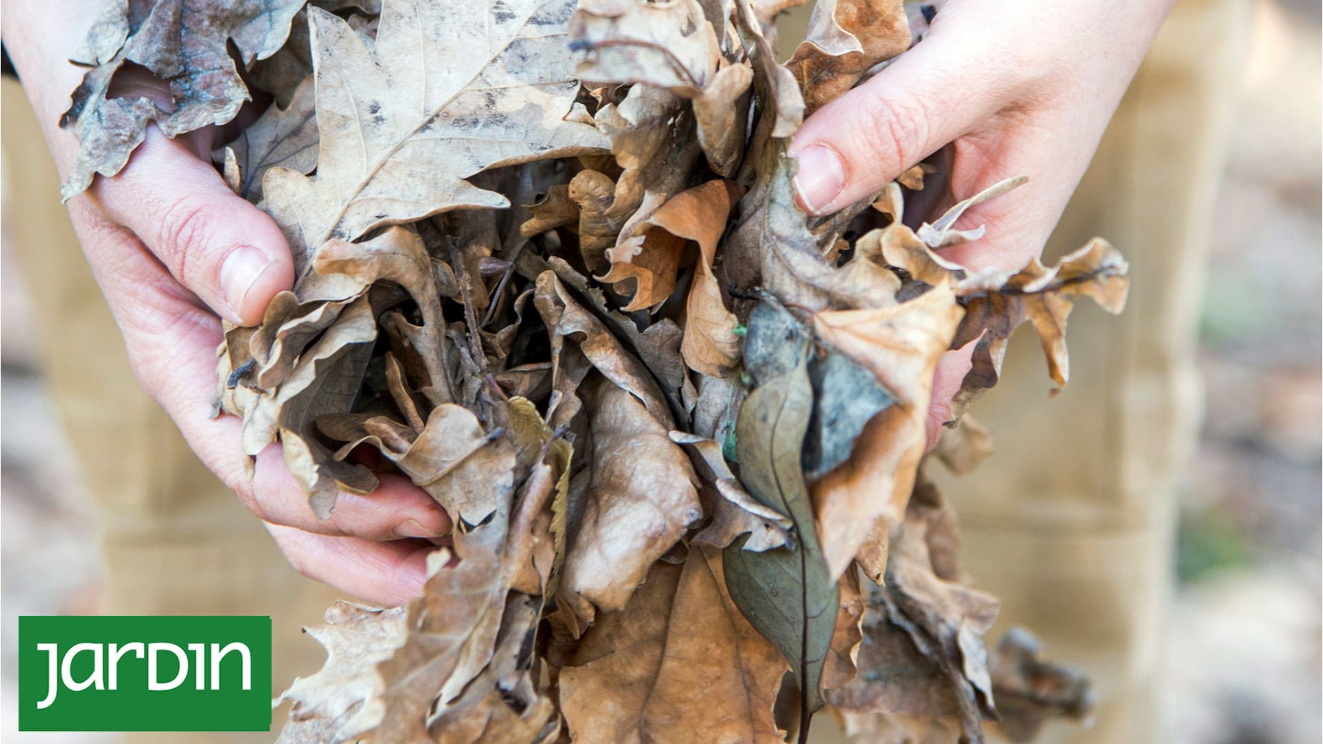 Las verdaderas razones para no tirar las hojas secas del otoño