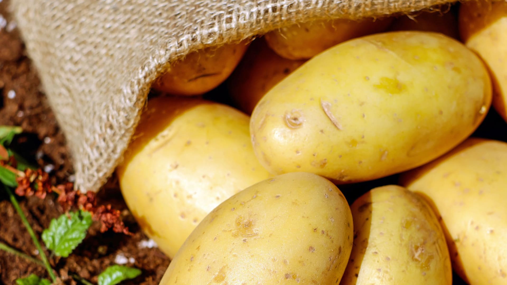 Huerta hogareña: cómo cultivar papas en casa y preparar los platos más ricos