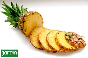 La fruta tropical y protectora del sistema inmune que tenés que cultivar en casa