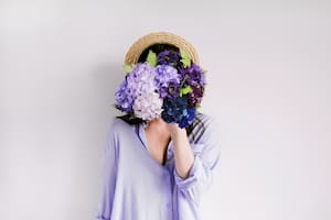Cómo potenciar el color de las hortensias