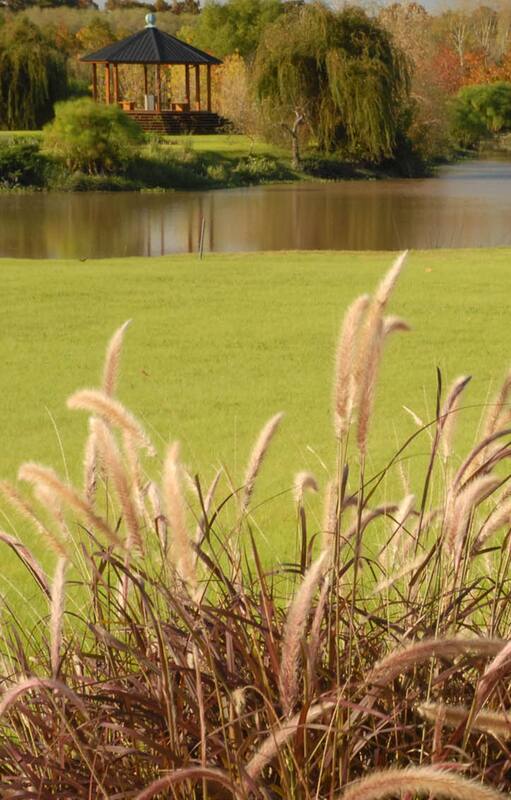 Así es El Descanso, la isla del Delta donde almorzaron Macri y Macron