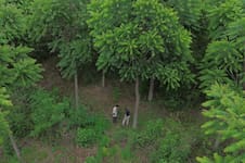 La familia que convirtió sus tierras en un proyecto para recuperar el bosque nativo
