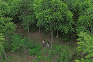 La familia que convirtió sus tierras en un proyecto para recuperar el bosque nativo