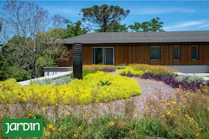 Cuáles son las plantas ideales para armar un techo verde y no fracasar