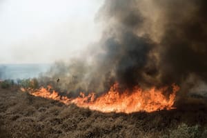 El cambio climático amenaza los esfuerzos para erradicar para erradicar el dengue, chikunguña y zika
