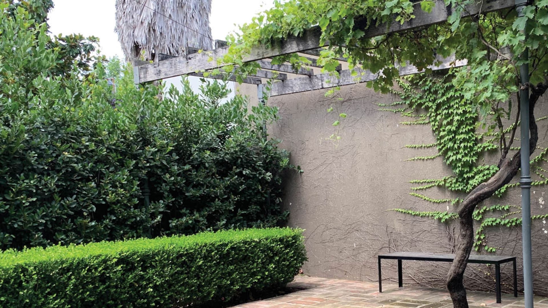 San Antonio de Areco: el jardín de una casa "chorizo", entre lo tradicional y lo contemporáneo