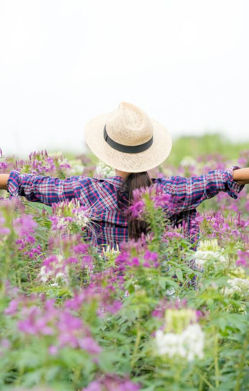 5 perfumes que huelen al campo en primavera
