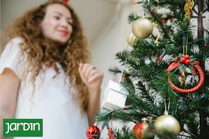 La increíble leyenda que vincula el árbol de Navidad con una borrachera