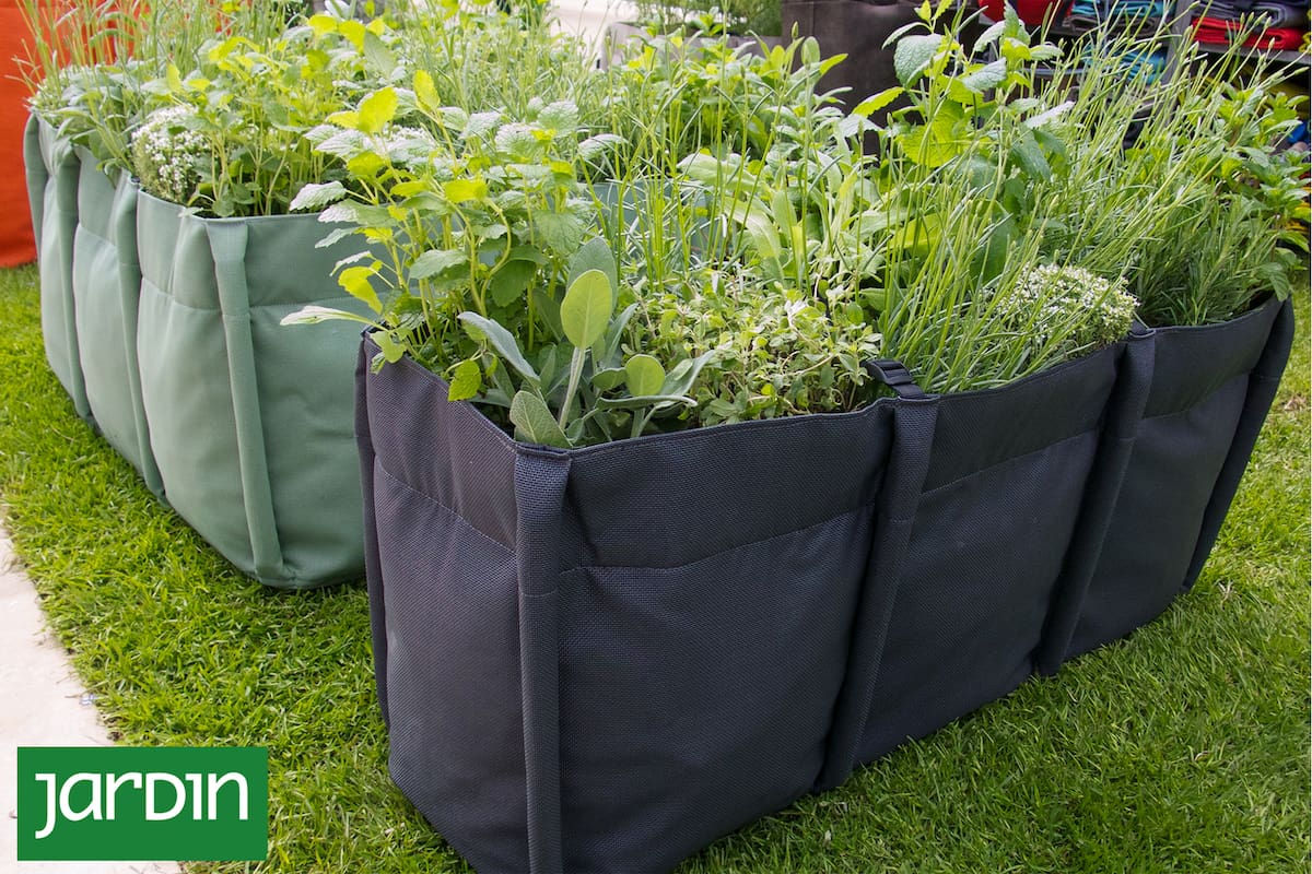 Cómo cultivar tus verduras en bolsas