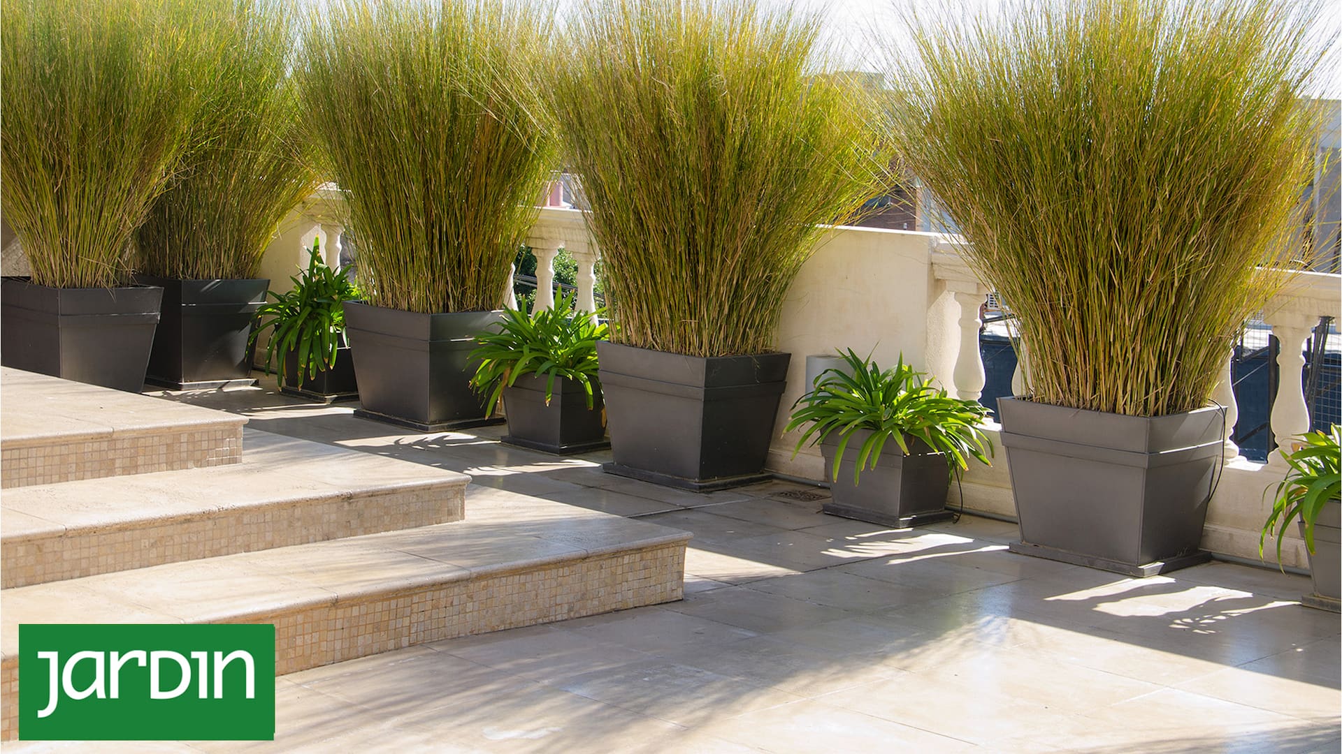 Siete plantas de moda para reconquistar terrazas o balcones donde nada crece