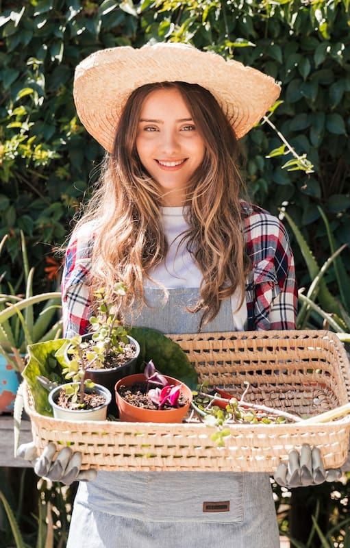 Jardines portátiles: ¿Cómo armar tu propio rincón verde que se mueve con vos?