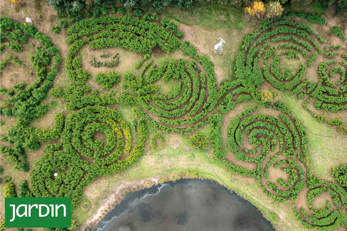 Laberinto pampa es una obra en colaboración con la naturaleza donde los bambú son protagonistas