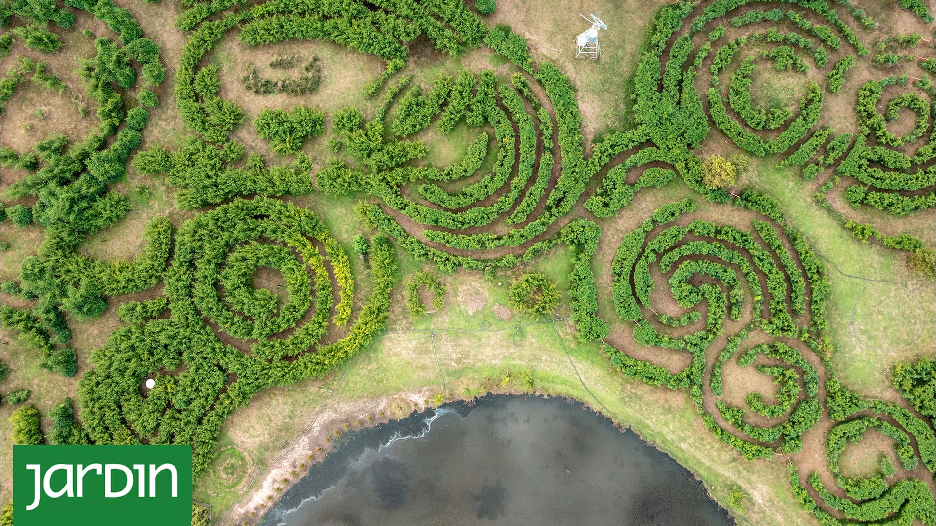 Laberinto pampa es una obra en colaboración con la naturaleza donde los bambú son protagonistas