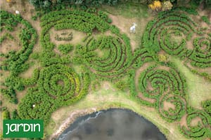 Cómo y por qué se creó este laberinto de bambú que es además una solución ambiental