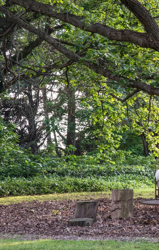 Elegir un árbol, diseñar un refugio: ideas fáciles para crear rincones que invitan a parar