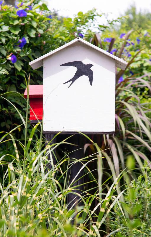 El nuevo fenómeno que conquistó a la jardinería y está cambiando nuestra manera de pensar