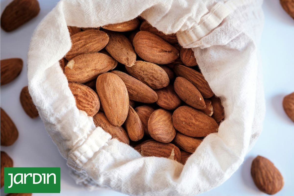 Comer almendras todos los días es esencial para tu corazón