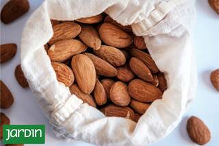 Cuánto hay que comer por día para bajar el colesterol, proteger el corazón y reducir el riesgo de ataque cardíaco