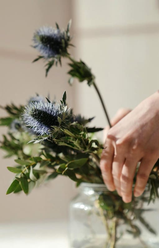 Las plantas fáciles de cuidar que ahora son tendencia entre paisajistas y floristas