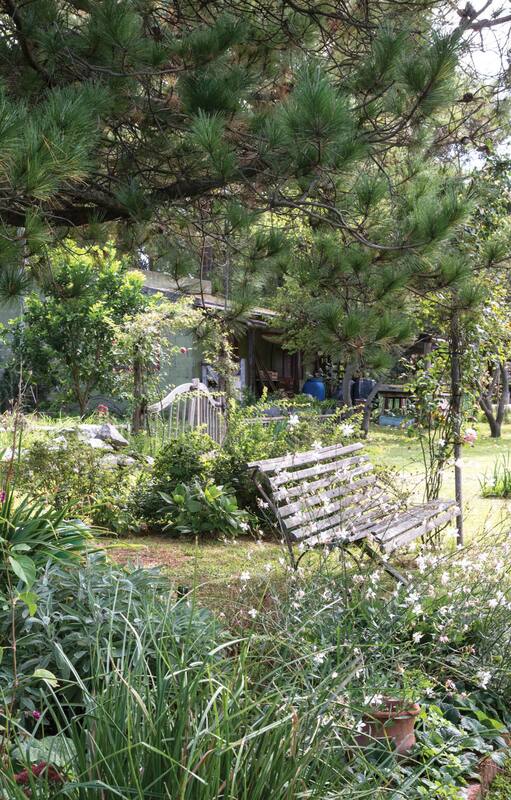 Quequén: un jardín a prueba del viento