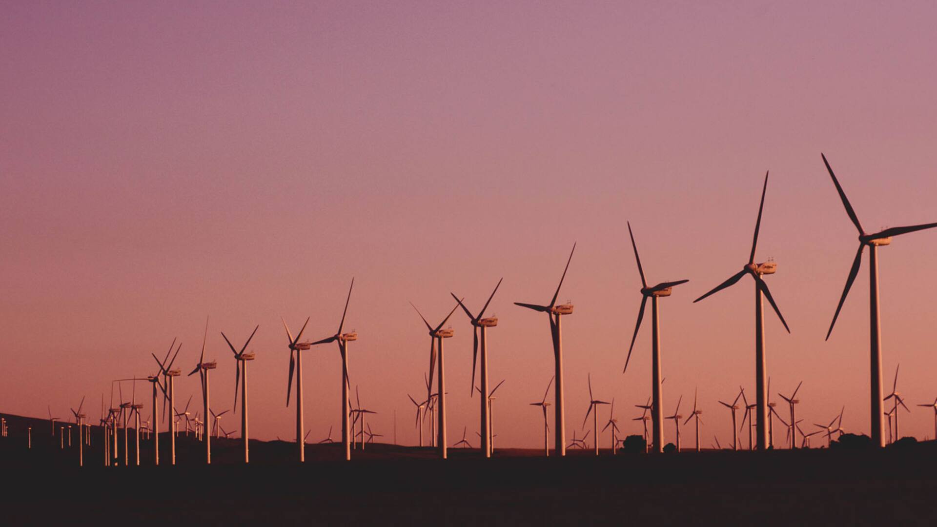 Medio ambiente: después de un 2019 agitado, llegan los desafíos para 2020
