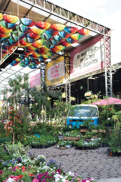 Tendencias: tres tiendas de jardinería donde podés encontrar mucho más que plantas