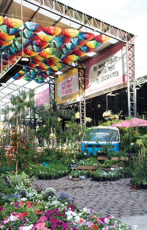 Tendencias: tres tiendas de jardinería donde podés encontrar mucho más que plantas