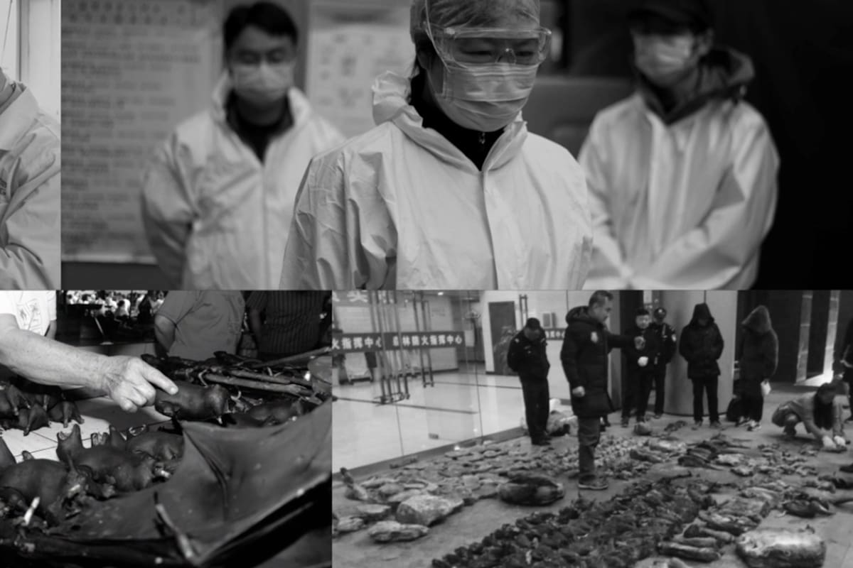 Coronavirus. Cómo se busca el misterioso caso cero que desencadenó la tragedia mundial