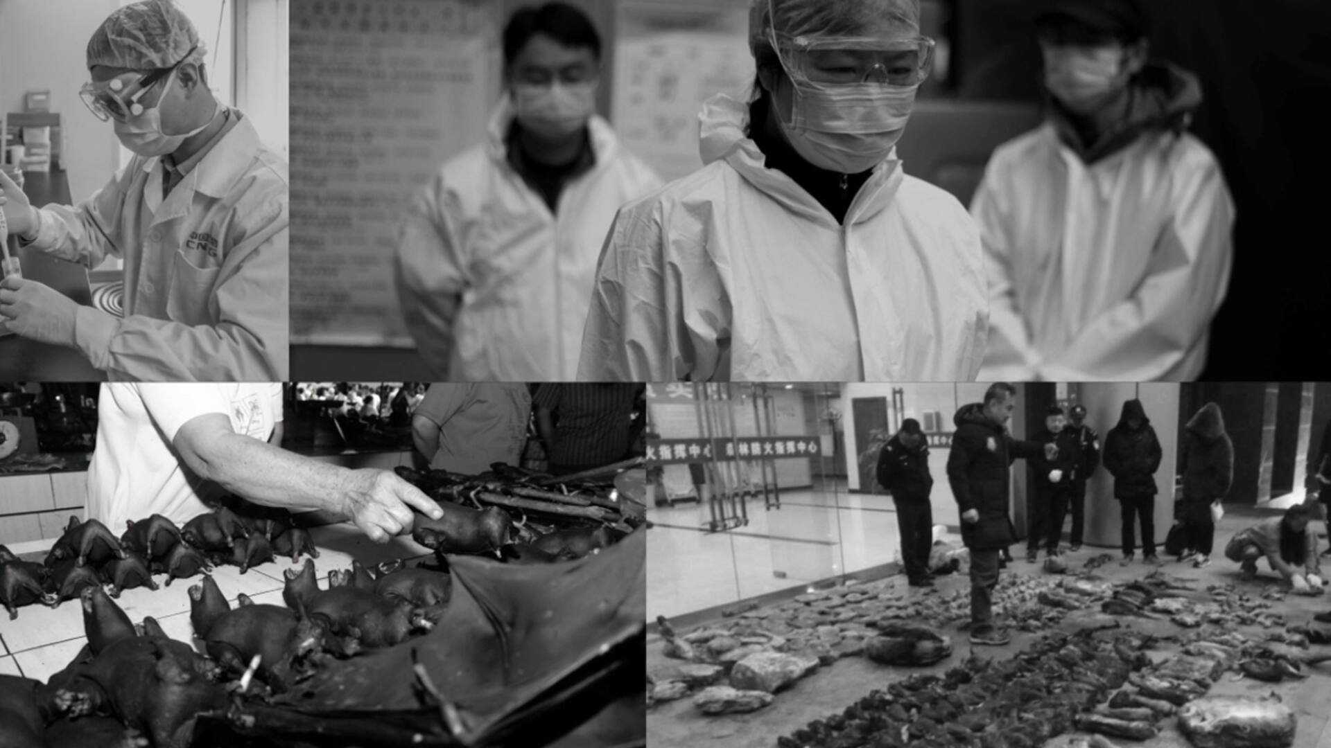 Coronavirus. Cómo se busca el misterioso caso cero que desencadenó la tragedia mundial