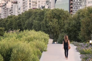 Tendencia: hacia un paisajismo más sustentable, en busca de la biodiversidad