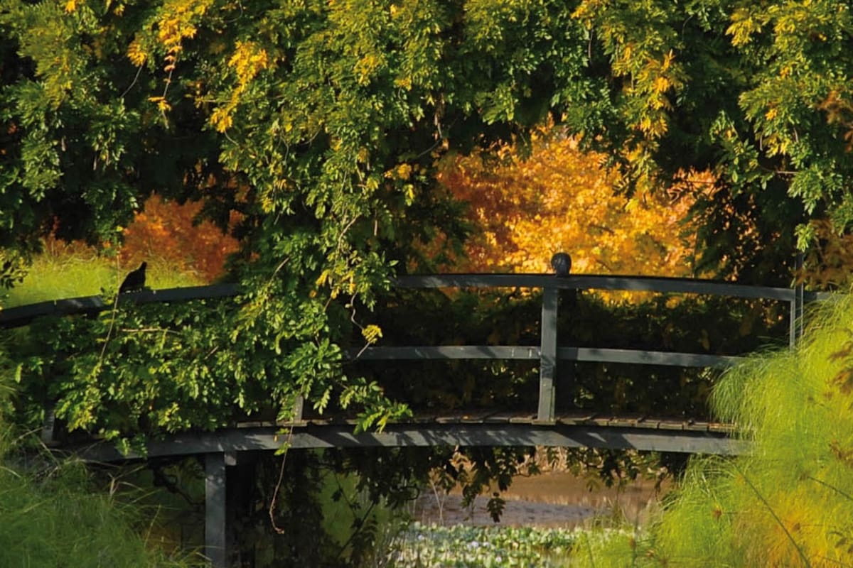 El Descanso, un oasis del delta de Tigre inspirado en los jardines de Monet