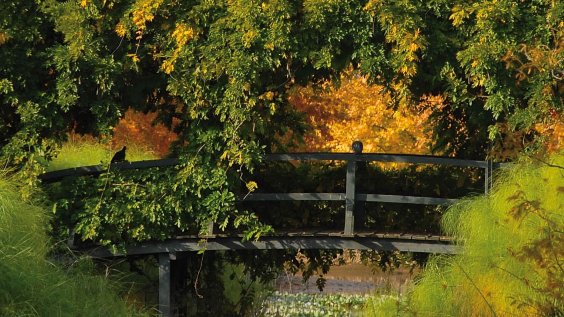 El Descanso, un oasis del delta de Tigre inspirado en los jardines de Monet